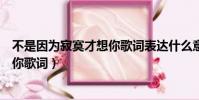 不是因為寂寞才想你歌詞表達什么意思(不是因為寂寞才想你歌詞)
