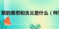 懿的意思和含義是什么(梓雯的意思和含義)