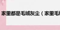 家里都是毛絨灰塵(家里毛絨灰塵太多妙招)