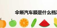 傘蜥汽車膜是什么檔次(傘蜥)