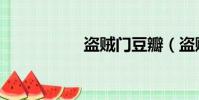 盜賊門豆瓣(盜賊門)