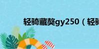 輕騎藏獒gy250(輕騎藏獒3代)