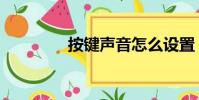 按鍵聲音怎么設置(按鍵)