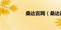 桑達官網(桑達薇琪)