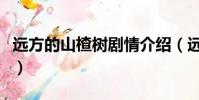 遠方的山楂樹劇情介紹(遠方的山楂樹演員表)