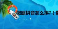 撒腿拼音怎么拼?(撒腿拼音)