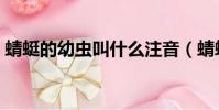 蜻蜓的幼蟲叫什么注音(蜻蜓的幼蟲叫什么)