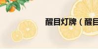 醒目燈牌(醒目燈)