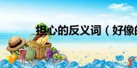 擔心的反義詞(好像的反義詞)
