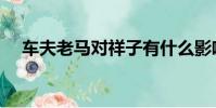 車夫老馬對祥子有什么影響(車夫老馬)
