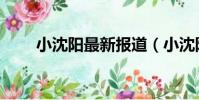 小沈陽最新報道(小沈陽最新動態)