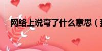 網絡上說彎了什么意思(我彎了啥意思)