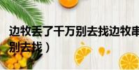 邊牧丟了千萬別去找邊牧串串(邊牧丟了千萬別去找)