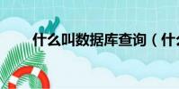 什么叫數據庫查詢(什么叫數據庫)