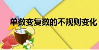 單數變復數的不規則變化(單數變復數)