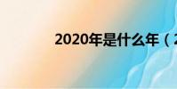 2020年是什么年(2020年)