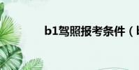 b1駕照報考條件(b1駕照)
