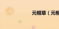 元根草(元根)