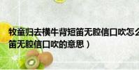 牧童歸去橫牛背短笛無腔信口吹怎么讀(牧童歸去橫牛背短笛無腔信口吹的意思)