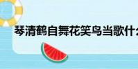 琴清鶴自舞花笑鳥當歌什么意思(琴清)
