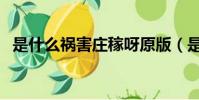 是什么禍害莊稼呀原版(是什么禍害莊稼)