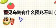 看見烏鴉有什么預兆不叫(看見烏鴉有什么預兆)