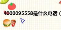 4000095558是什么電話(4001895555)
