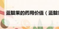 藍靛果的藥用價值(藍靛果多少錢一斤)