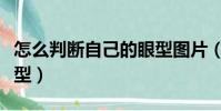 怎么判斷自己的眼型圖片(怎么判斷自己的眼型)