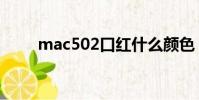 mac502口紅什么顏色(mac502)
