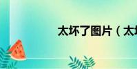 太壞了圖片(太壞了)