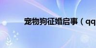 寵物狗征婚啟事(qq寵物征婚)