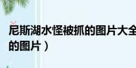 尼斯湖水怪被抓的圖片大全(尼斯湖水怪被抓的圖片)
