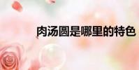 肉湯圓是哪里的特色(肉湯圓)