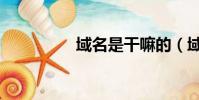 域名是干嘛的(域名是)