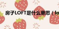 房子LOFT是什么意思(loft是什么意思)