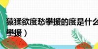 猿猱欲度愁攀援的度是什么意思(猿猱欲度愁攀援)