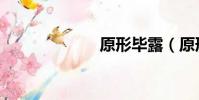原形畢露(原形)