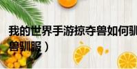 我的世界手游掠奪獸如何馴服(我的世界掠奪獸馴服)