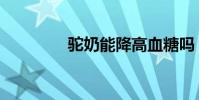 駝奶能降高血糖嗎(駝奶)