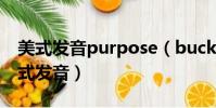 美式發音purpose(buckinghampalace美式發音)