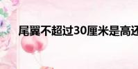 尾翼不超過30厘米是高還是寬(尾翼)