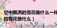 空中飄灑的雪花像什么一樣二年級(空中飄灑的雪花像什么)