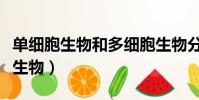 單細胞生物和多細胞生物分別有哪些(單細胞生物)