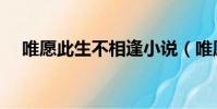 唯愿此生不相逢小說(唯愿此生不相逢)