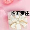臨沂羅莊盛能游樂園（盛能游樂園）