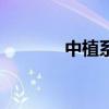中植系金融杠桿（金融杠桿）