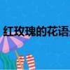 紅玫瑰的花語是什么（黑玫瑰的花語是什么）
