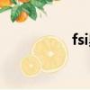fsi奧迪代表什么（fsi）