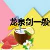 龍泉劍一般什么價格（龍泉寶劍多少錢）
